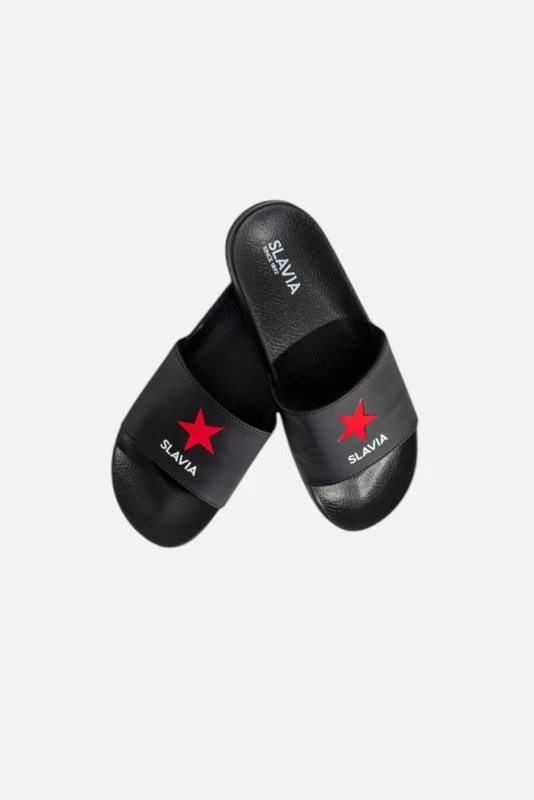 SP000127_dynamicka