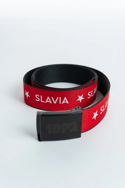SP000961_dynamicka_1.jpg