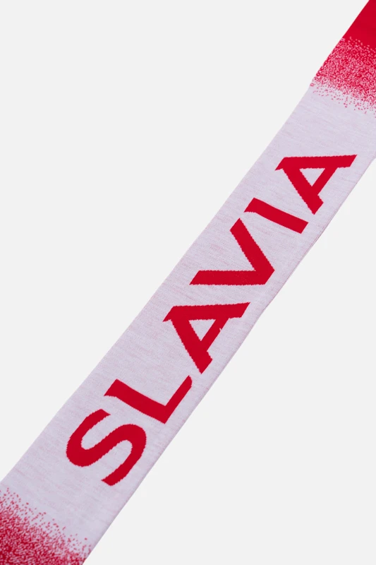 SP000175_dynamicka_2.jpg