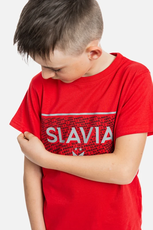 SP000216_dynamicka_4.jpg