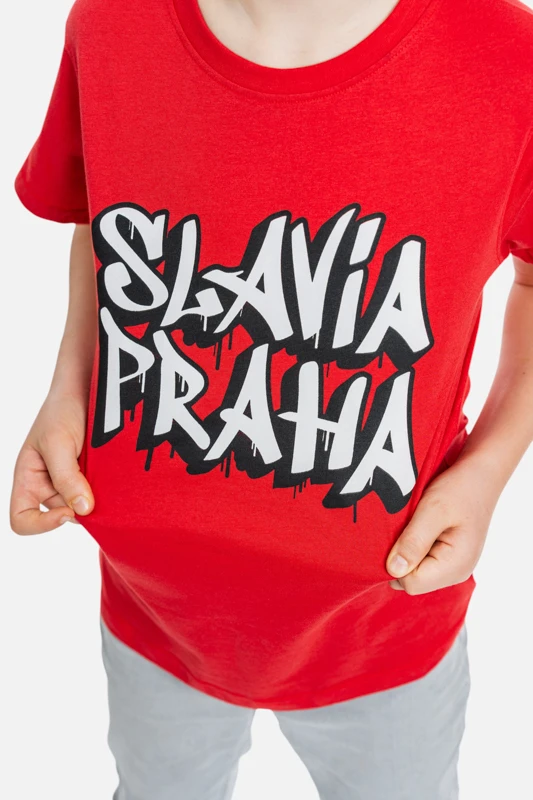 SP000218_dynamicka_3.jpg