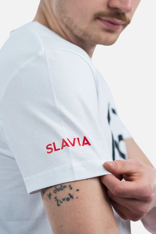 SP000249_dynamicka_4
