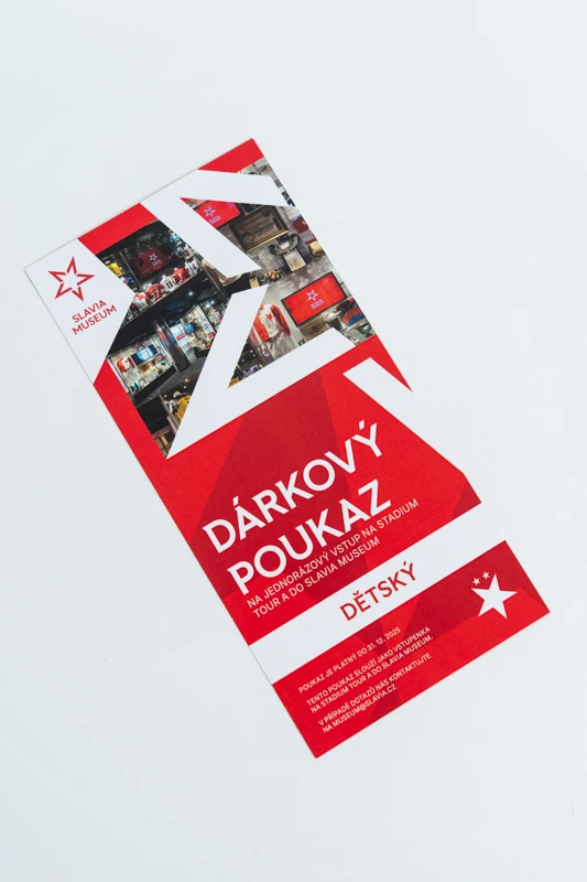 Muzeum tour vstupenka - dětská