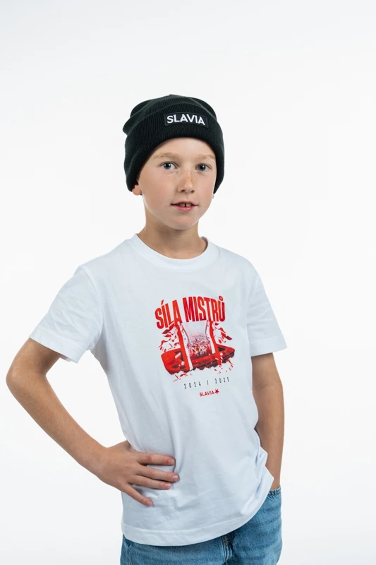 SP000852_dynamicka_1