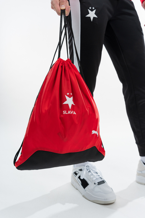 teamGOAL Gymsack unisex červená