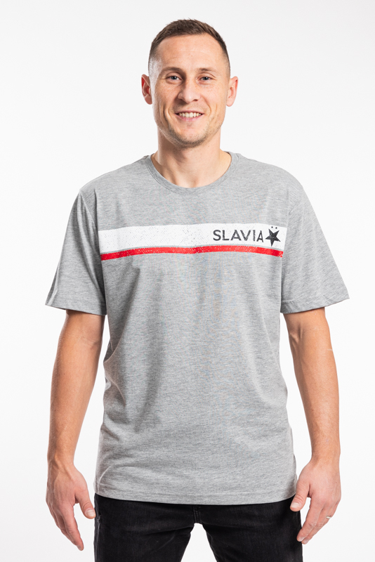 Triko Slavia Stripe muži šedá